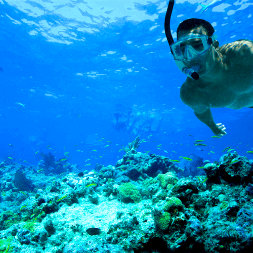 Snorkeling Trip-wisata-mandeh